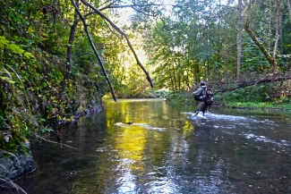 First pool First pool