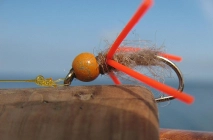 Small flies move freely Small flies move freely