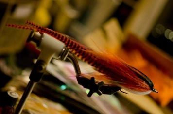 BigBug underway BigBug underway