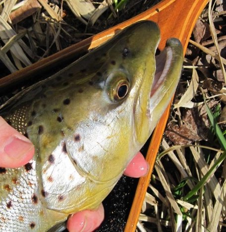 Fishing in New York Gallery Fishing in New York Gallery