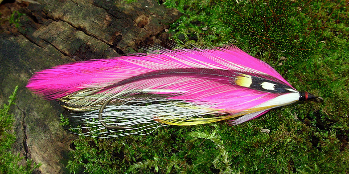 Rich Connors' rendition of Carrie´s Favorite Rich Connors' rendition of Carrie´s Favorite