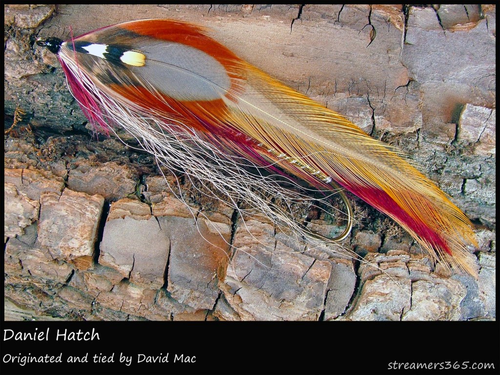 #116 Daniel Hatch - David Mac #116 Daniel Hatch - David Mac