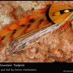 #298 Rocky Mountain Tadpole - Darren MacEachern #298 Rocky Mountain Tadpole - Darren MacEachern