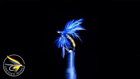 Video thumb for Remnant Fly #38  - Brassie