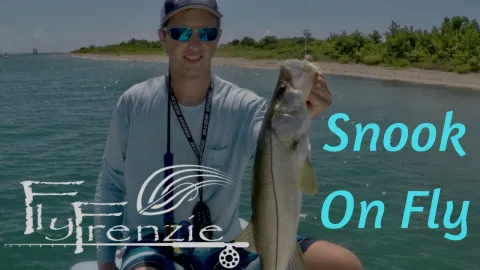 Video thumb for Snook on Fly