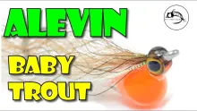 Video thumb for Huevo Frito -- Alevin Trout Fry