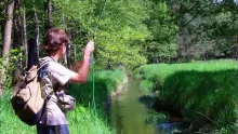 Video thumb for Small stream trout