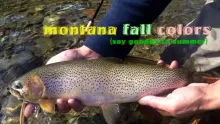 Video thumb for Montana Fall Colors