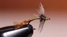 Video thumb for Griffith's Gnat Emerger