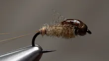 Video thumb for SBR Light Cahill Nymph