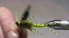 Video thumb for The "ST" Stonefly