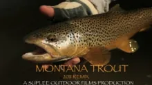 Video thumb for Montana Trout (2011 Remix)