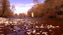 Video thumb for A Cane Rod on the Wye and Usk