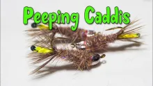Video thumb for Peeping Caddis (Extra Heavy)