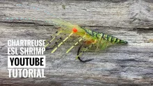 Video thumb for Chartreuse ESL shrimp