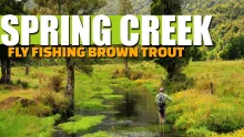 Video thumb for Two Spring Creeks on one Incredible Afternoon