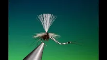 Video thumb for Reversed Parachute Mayfly