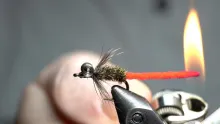 Video thumb for Hybrid Carp Fly