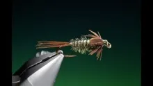 Video thumb for A Gill abdomen mayfly technique