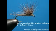 Video thumb for Hackle Stacker adams emerger