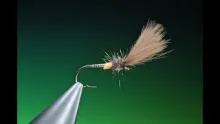 Video thumb for Quill Cul Midge
