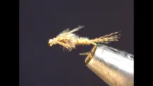 Video thumb for Bird's Nest Nymph