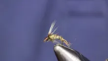 Video thumb for Golden Pheasant Tail Wet Fly
