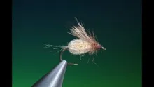 Video thumb for Emergent Sparkle Pupa