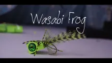 Video thumb for Wasabi Frog