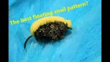Video thumb for Bigfoot Floating Snail