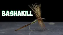 Video thumb for Bashakill