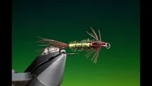 Video thumb for Holo Pheasant Tail