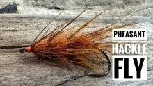 Video thumb for Pheasant Hackle Fly