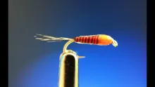 Video thumb for Micro Nymph