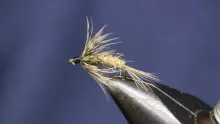 Video thumb for Soft Hackle Hare's Ear