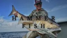 Video thumb for Hammer Fish: Part 2