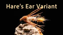 Video thumb for Hare's Ear Variant