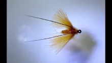 Video thumb for CDC Spent Caddis
