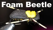 Video thumb for Foam Beetle Fly