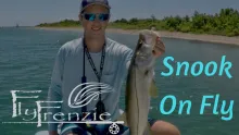 Video thumb for Snook on Fly