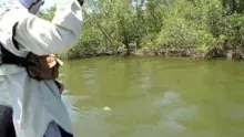 Video thumb for One day of fly fishing