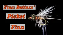 Video thumb for Picket Finn