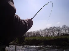 User submitted picture: Going with the flow...