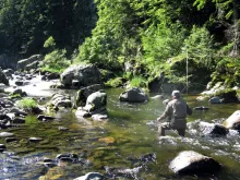 User submitted picture: "Wild nymphing" by guid...