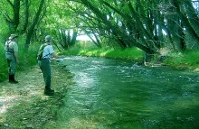 User submitted picture: Casting is difficult bene...