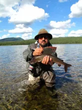 User submitted picture: Sweden 2010 by www.guidep...