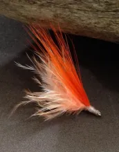 User submitted picture: The "Peach Orange" is a...