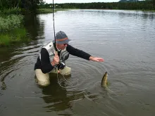 User submitted picture: Piky time !!! by www.guid...