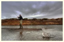 User submitted picture: Take frome upon and few s...