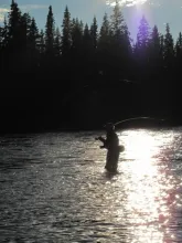 User submitted picture: evening cast 2 by www.gui...